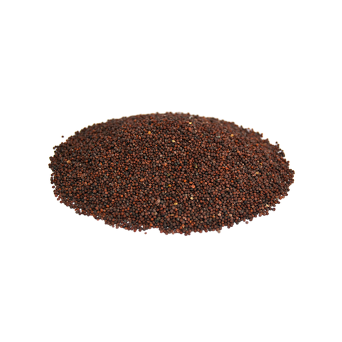 Black Mustard Seeds ( Rai )