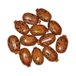 Castor Bean ( Tukhm-e-Arandi )