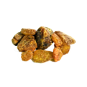 Dried Cheer Pine ( Behroza Khushk )