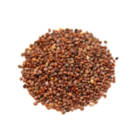 Radish Seeds ( Tukhm-e-Mooli )
