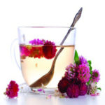 Red Clover Tea ( Lal Tarfeel Ki Chai )